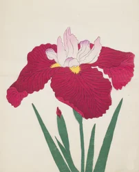 Yamamatayama, Nr. 83, 1890