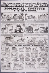 Die berühmte und umfangreiche Menagerie und Voliere der Association aus ihrem Zoologischen Institut in der Stadt New York