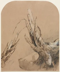 Ein abgestorbener Baum recto Grundriss verso, 1851