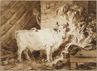 Weißer Stier und ein Hund im Stall