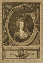 Marie Antoinette, Herzogin von Österreich