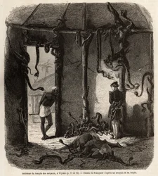 Im Inneren des Tempels der Fetisch-Schlangen, in Wydah, in Dahomey (heutiges Benin), Zeichnung von Jean Antoine Foulquier (1822-1896), zur Illustration der Reise von Dr. Repin nach Dahomey im Jahr 1860. Gravur in Le Tour du Monde, herausgegeben von Edouard