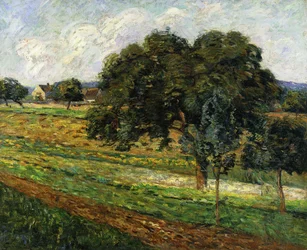 Bäume und Blumen, Landschaft bei Damiette