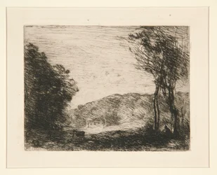 Bewaldete Landschaft