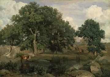 Wald von Fontainebleau