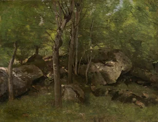 Felsen im Wald von Fontainebleau