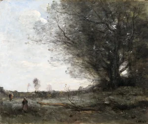 Die Buche