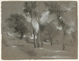 Landschaft mit Bäumen