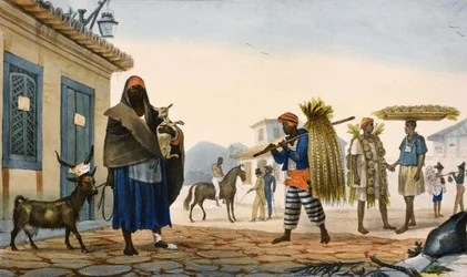 und kolorierte Lithografien
