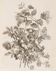 Tafel aus "Le Livre de toutes sortes de fleurs d