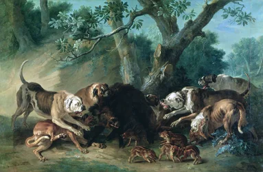 Eine wilde Sau und ihre Jungen, angegriffen von Hunden