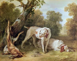 Hund und Hase