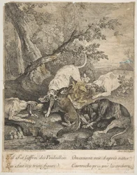 Fuchsjagd, 1736