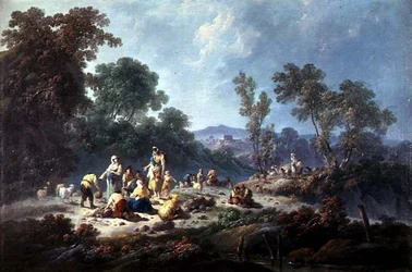 Eine bewaldete Landschaft