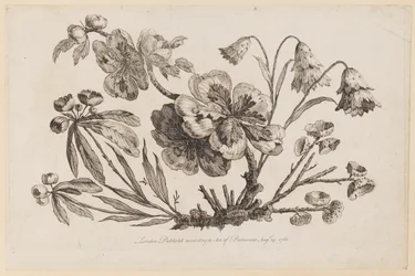 Blumenzweige, aus "Recueil de Fleurs de Chinois"