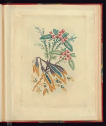Ornamentales Design mit kleinen roten Blumen und Beeren, aus Nouvelle suite de cahiers de flerurs naturelle a l