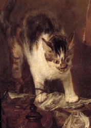 Das Stillleben mit Rochen, Fischen, Austern und Krug (Detail). Gemälde von Jean Baptiste Simeon Chardin (1699-1779) 1727. Paris, Louvre Museum