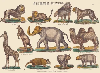 Verschiedene Tiere, ca. 1840-1852