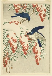 Fliegenfänger auf schneebedecktem Nandina (Farbholzschnitt)