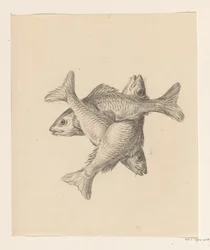 Drei kreuzweise angeordnete Fische