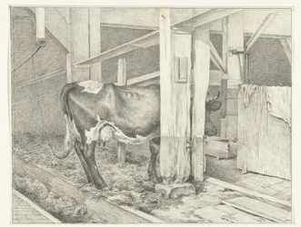 Stehende Kuh in einem Stall, nach rechts