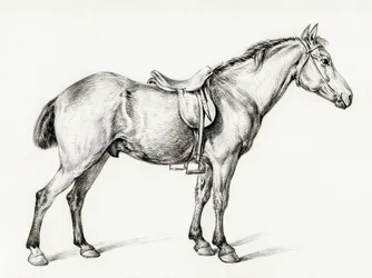 Stehendes Pferd von Jean Bernard (1775–1883)