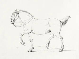 Schreitendes Pferd (1775–1833)