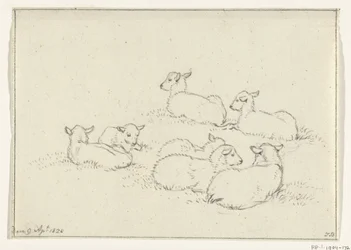 Sechs liegende Lämmer