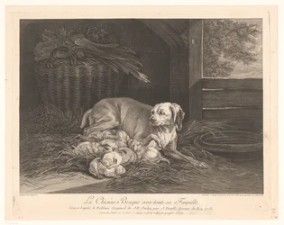 Bracke-Hund mit Jungen in einem Stall