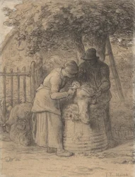 Schafschur unter einem Baum, ca. 1854