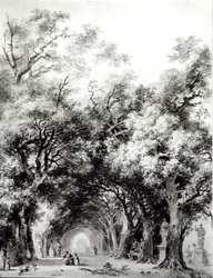 Die schattige Allee, ca. 1773-74