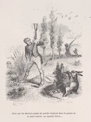 Als die letzten Körner Pulver in die Hand seiner geschwärzten Hand fallen, ein prächtiger Hase...