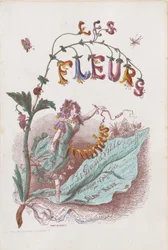 Les Fleurs Animées, Titelseite