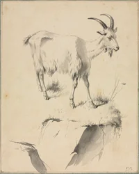 Studie einer Ziege, 1700er