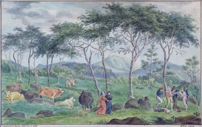 Rinderherde mit Kuhhirten in der Nähe des Flusses im Osten der Ile de la Reunion, Oktober 1812