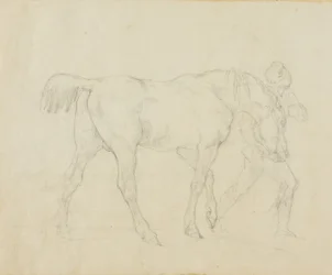 Stallknecht, der ein Pferd führt