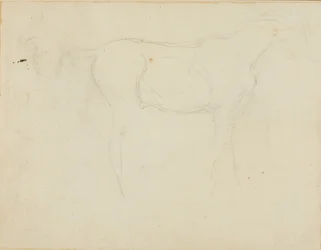 Skizze eines nach rechts gerichteten Pferdes und einer Karikatur im Profil