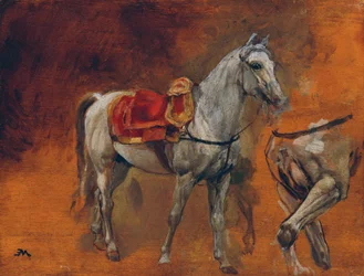 Studien eines Schimmels