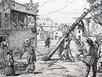 Das Aufstellen des Maibaums