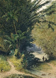 Ein Bambushain in Trinidad