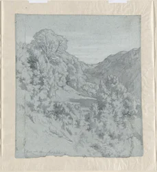 Sonnenbeschienene Bäume in einem Tal bei Lacoux