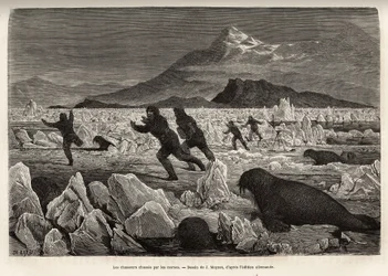 Ein Teil der Besatzung des Schiffes La Germania, auf den Clavering-Inseln, stieg auf das Eis, um zu jagen, wurde selbst von Walrossen gejagt, die aus dem Wasser kamen, graviert nach der Zeichnung von J. Moynet, zur Illustration einer Reise zum Nordpol 1869
