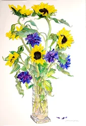 Sonnenblumen Astern