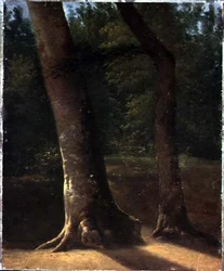 Studie von Bäumen, ca. 1815
