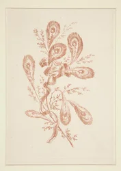 Ohne Titel (Ideale Blumen), aus einem Satz von sechs