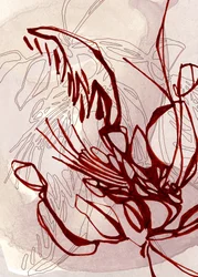 Rote organische Blüte
