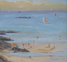 Salcombe Millbay Morgen