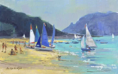 Segelboote in Salcombe