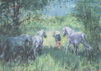 Sommerponys