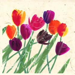 HOLLAND SCHÖNHEITEN